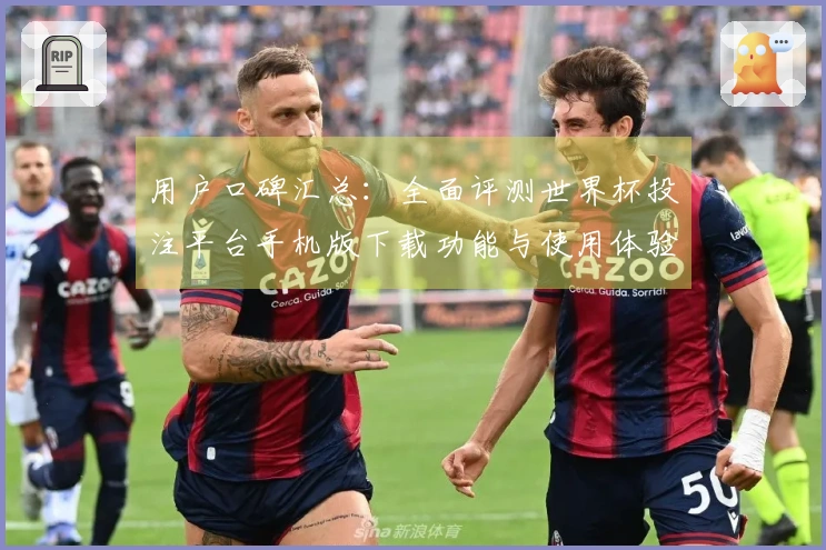 用户口碑汇总：全面评测世界杯投注平台手机版下载功能与使用体验