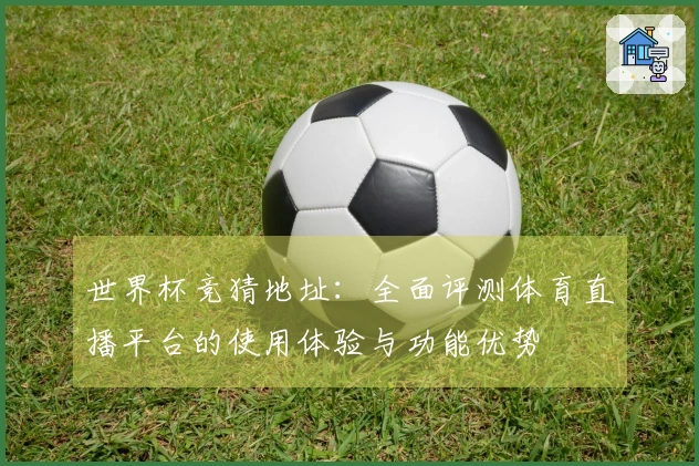 世界杯竞猜地址：全面评测体育直播平台的使用体验与功能优势