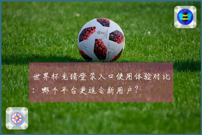 世界杯竞猜登录入口使用体验对比：哪个平台更适合新用户？