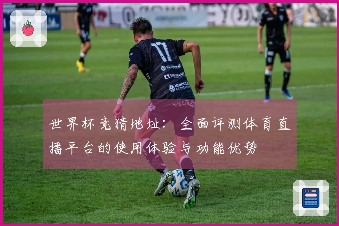 世界杯竞猜地址：全面评测体育直播平台的使用体验与功能优势