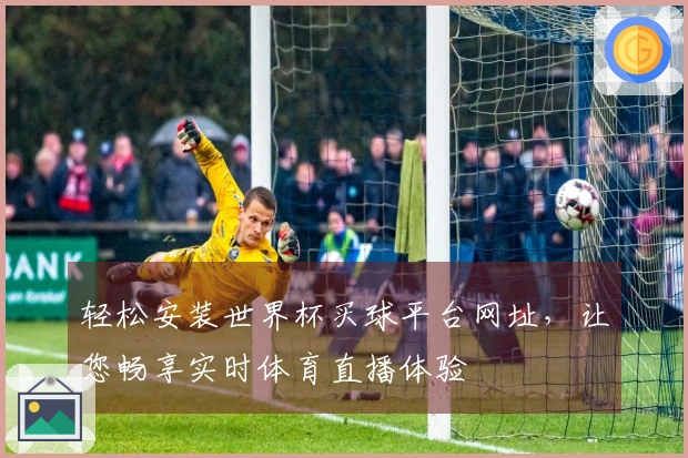 轻松安装世界杯买球平台网址，让您畅享实时体育直播体验