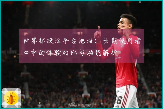 世界杯投注平台地址：长期使用者口中的体验对比与功能解析