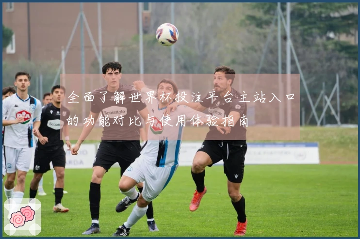 全面了解世界杯投注平台主站入口的功能对比与使用体验指南