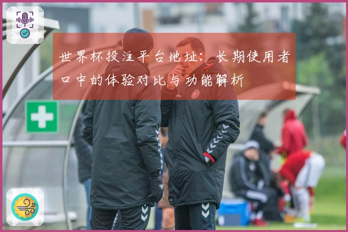 世界杯投注平台地址:长期使用者口中的体验对比与功能解析